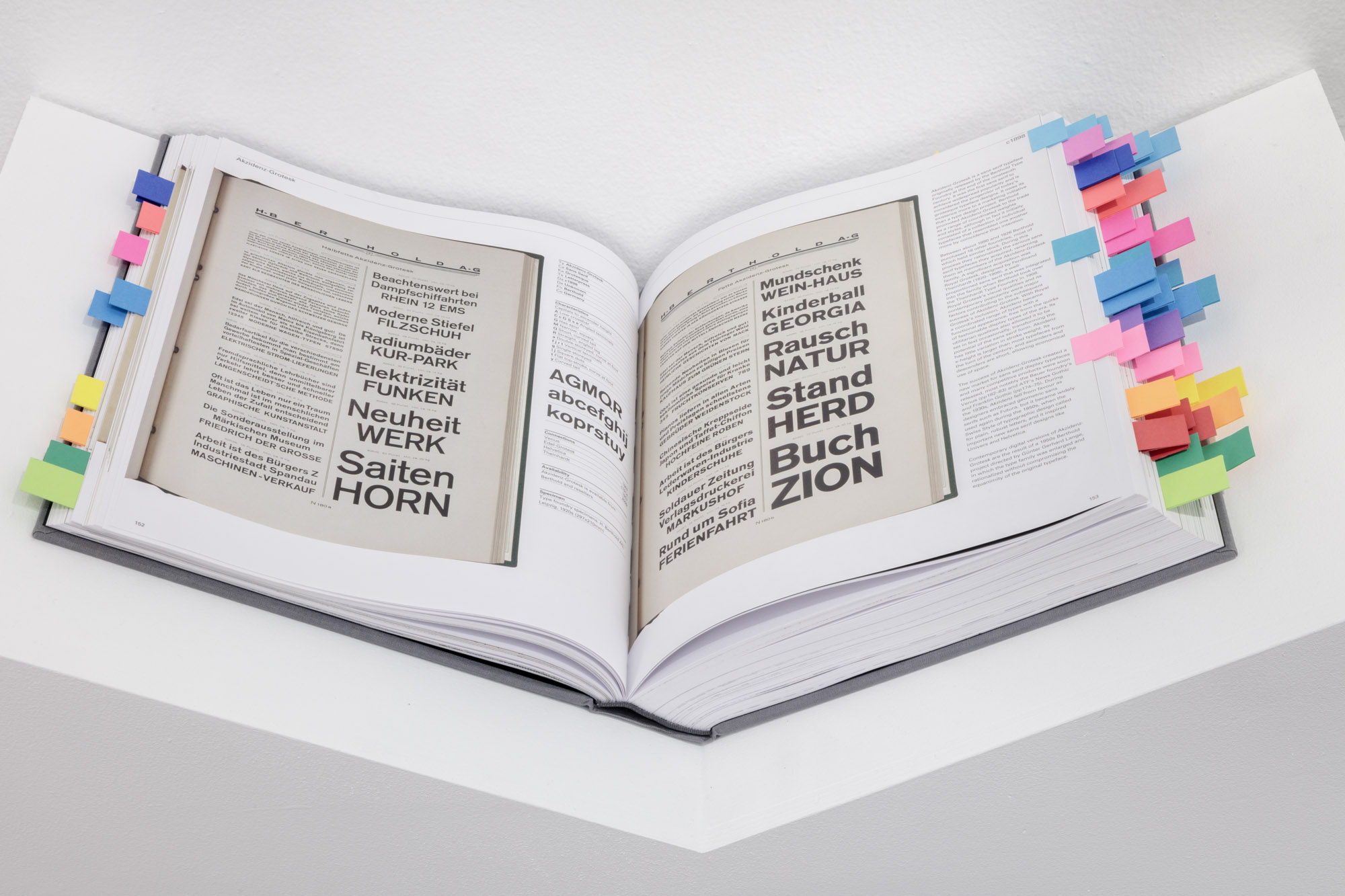 Looking Good: Lucienne Roberts (編集) 2a34d8_dee3ac86a8f242cc87c0dac